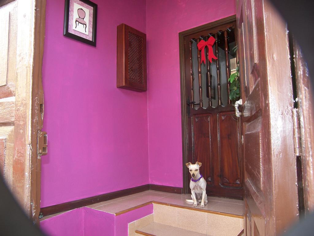 Casa Luly Villa Ла Оротава Екстериор снимка